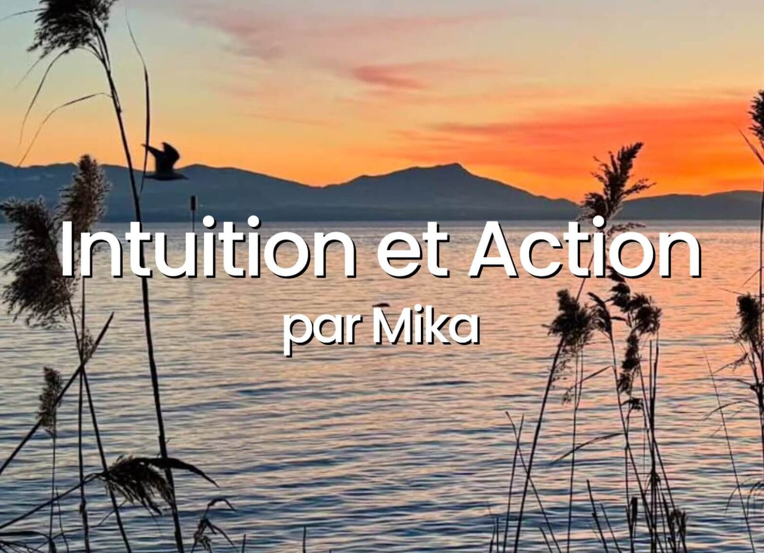 Intuition et Action